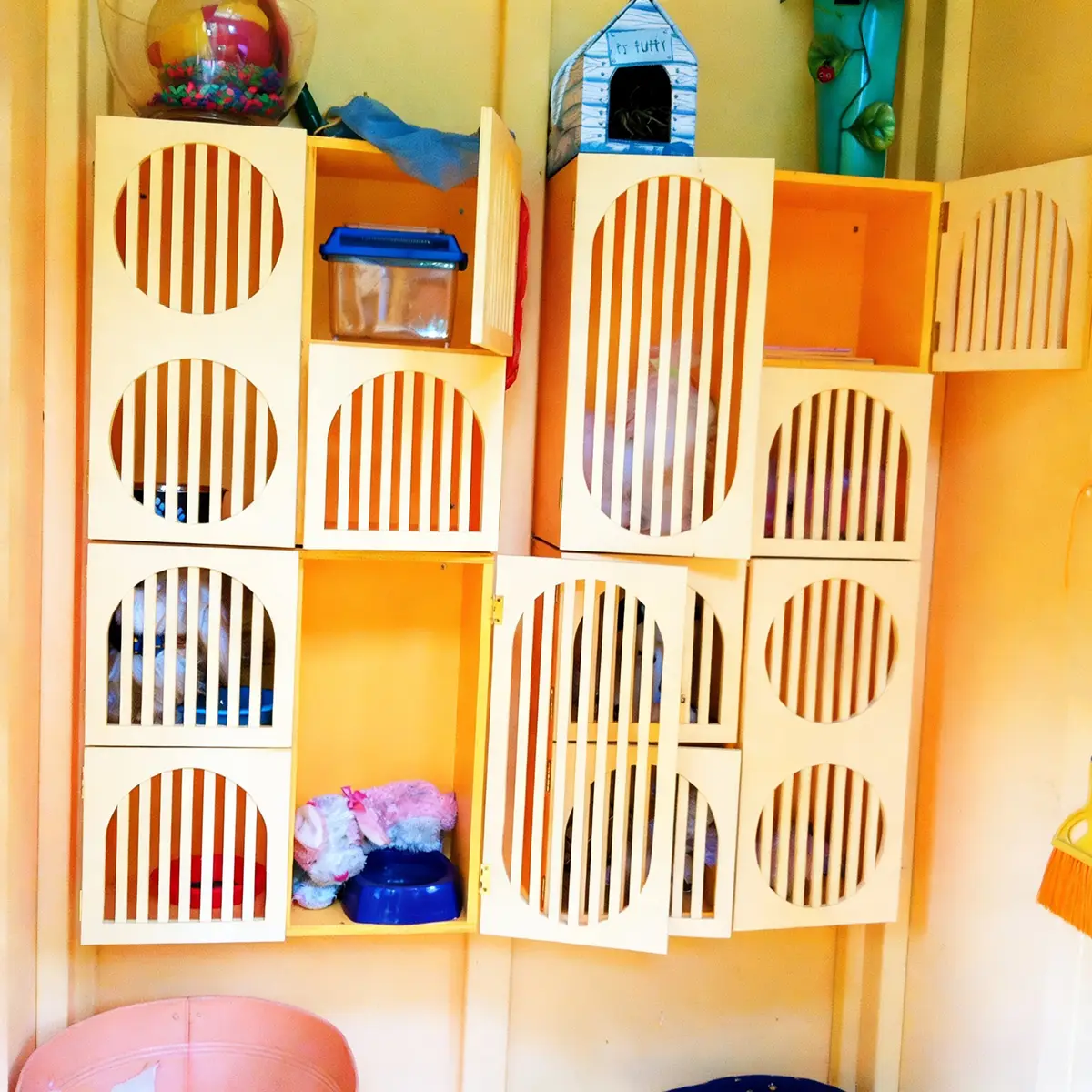 Orange cages inside pet shop.