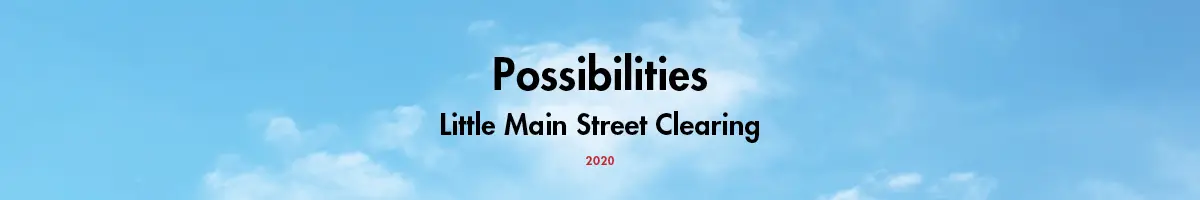 Possiblitiy_LMS-clearing
