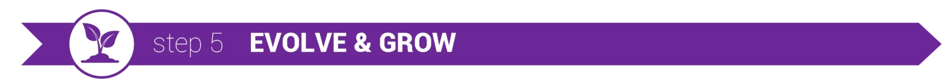 Step 5 - Evolve & Grow